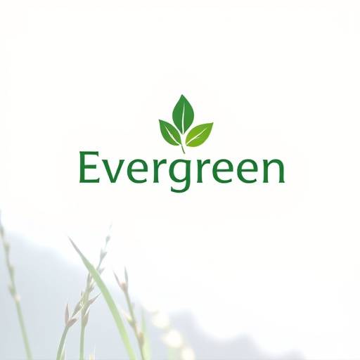 Evergreen Non-Profit Logo